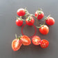 Pomodoro Rosso di Maciano DER TOMATENFLÜSTERER