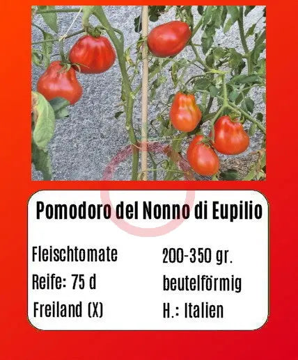 Pomodoro del Nonno di Eupilio DER TOMATENFLÜSTERER