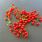 Post Office Spoonful DER TOMATENFLÜSTERER