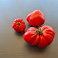 President Garfield DER TOMATENFLÜSTERER