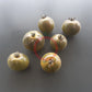 Pride of Flanders Woolly DER TOMATENFLÜSTERER