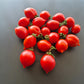 Professor Klapprotts Spitze DER TOMATENFLÜSTERER