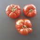 Puszta Kolosz DER TOMATENFLÜSTERER
