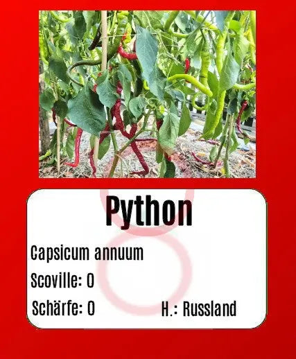 Python DER TOMATENFLÜSTERER