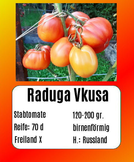 Raduga Vkusa DER TOMATENFLÜSTERER