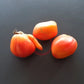 Raduga Vkusa DER TOMATENFLÜSTERER