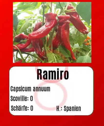 Ramiro DER TOMATENFLÜSTERER