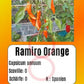 Ramiro Orange DER TOMATENFLÜSTERER