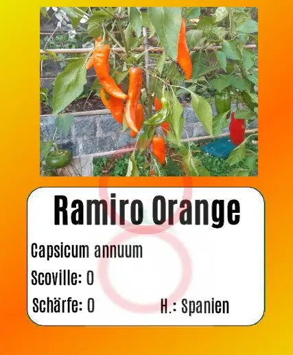 Ramiro Orange DER TOMATENFLÜSTERER