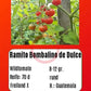 Ramito Bombalino de Dulce DER TOMATENFLÜSTERER