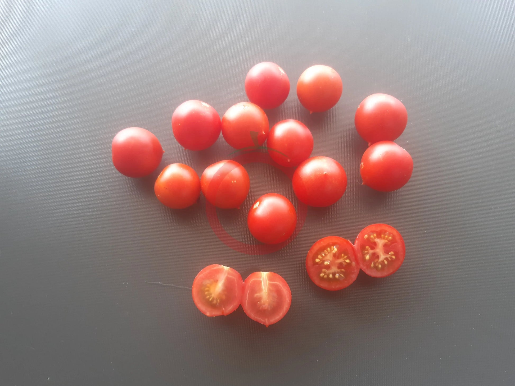 Rancho Solito DER TOMATENFLÜSTERER