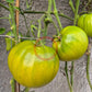 Reinhard´s Green Heart DER TOMATENFLÜSTERER