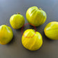 Reinhard´s Green Heart DER TOMATENFLÜSTERER