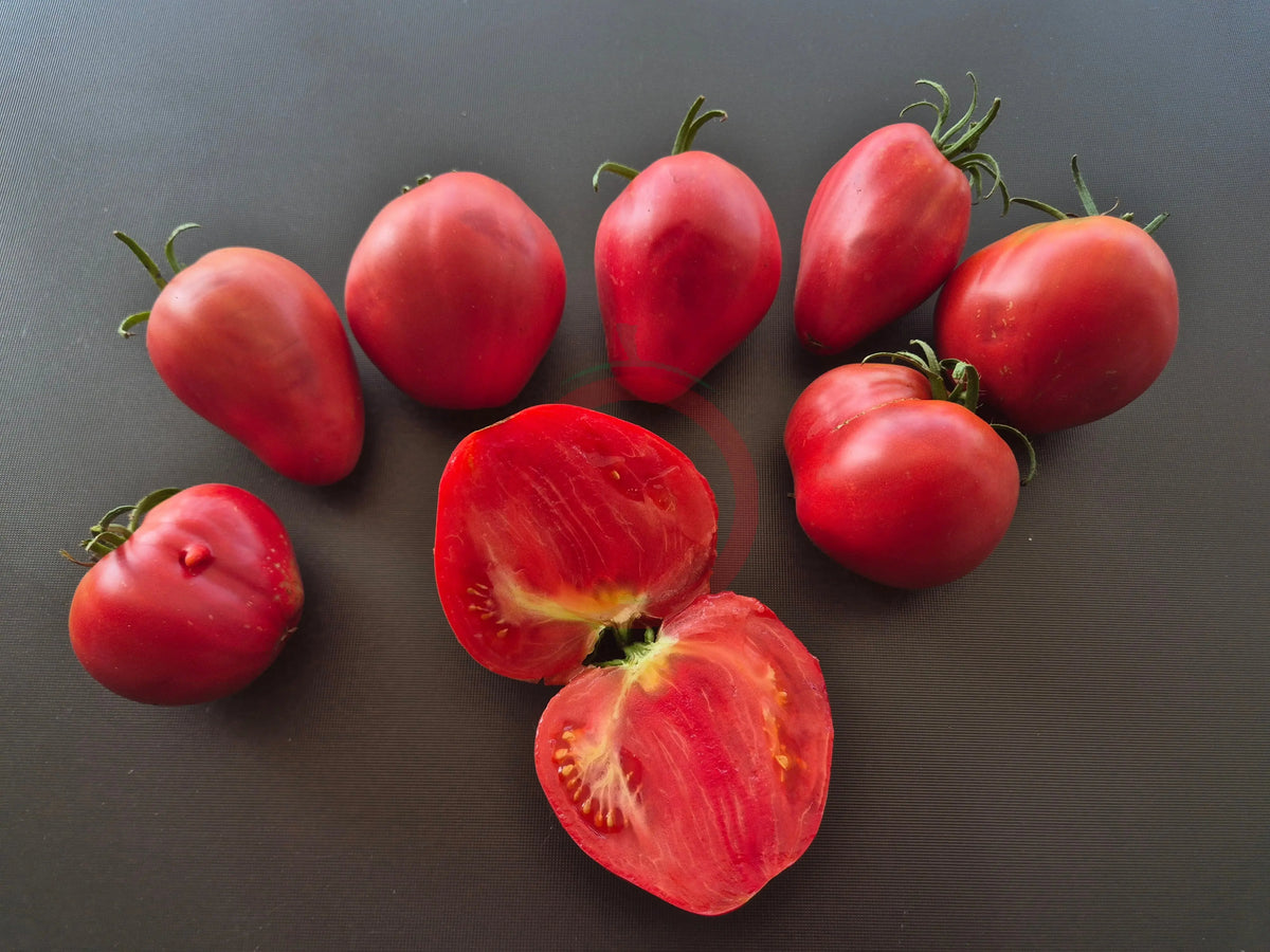 Reinhard´s Pink Heart DER TOMATENFLÜSTERER