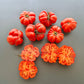 Riccio di Parma DER TOMATENFLÜSTERER