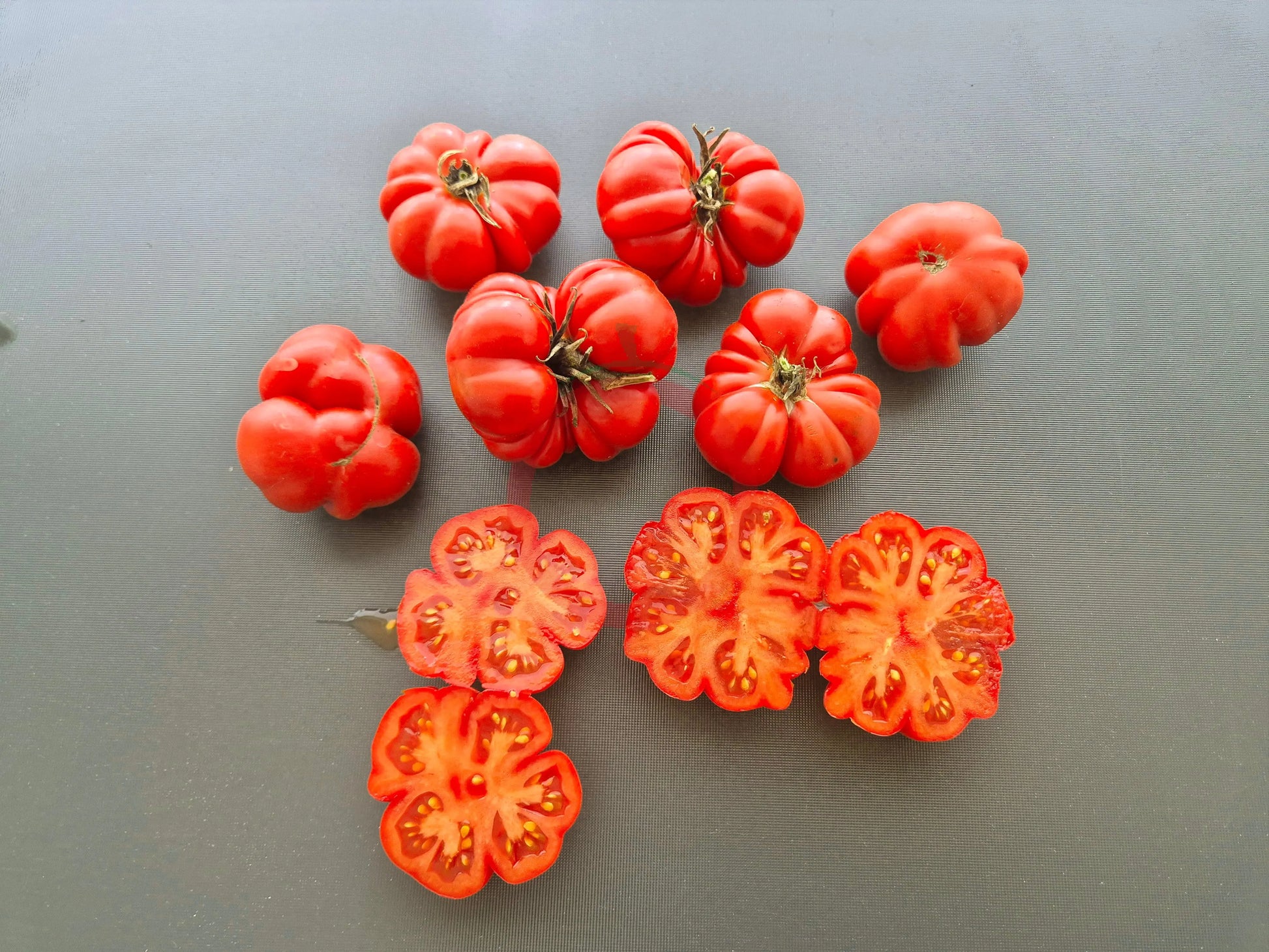 Riccio di Parma DER TOMATENFLÜSTERER