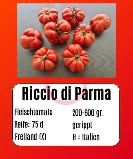 Riccio di Parma DER TOMATENFLÜSTERER