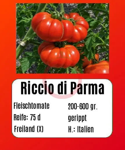 Riccio di Parma DER TOMATENFLÜSTERER