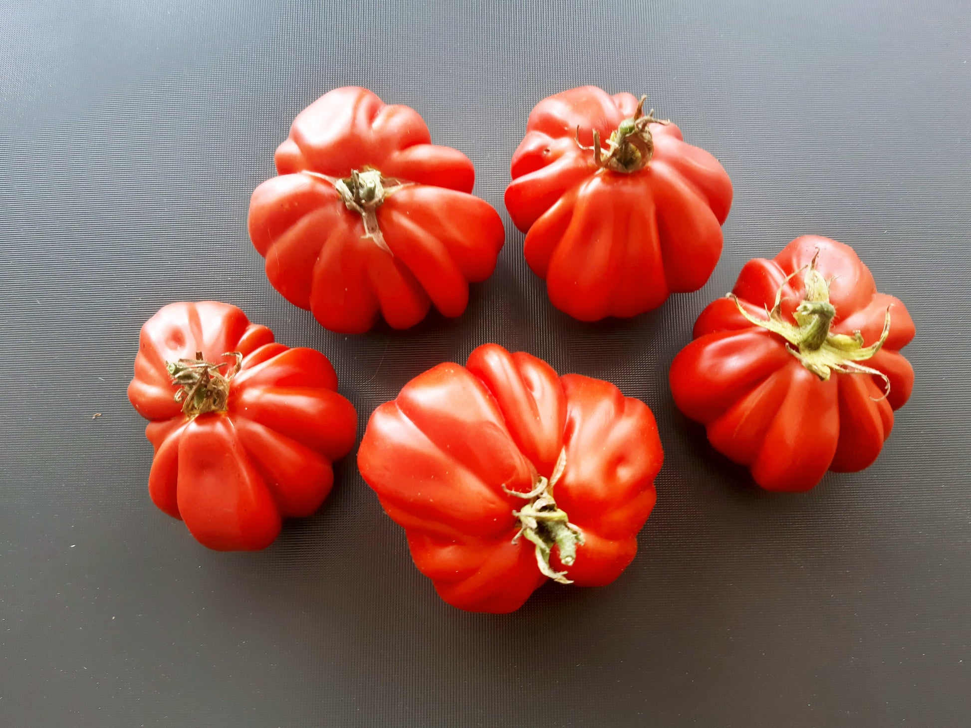 Rigotti´s Ochsenherz DER TOMATENFLÜSTERER