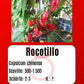 Rocotillo DER TOMATENFLÜSTERER
