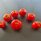 Roem van Mechelen DER TOMATENFLÜSTERER