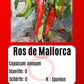 Ros de Mallorca DER TOMATENFLÜSTERER