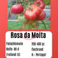 Rosa Da Moita DER TOMATENFLÜSTERER