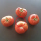 Rosa Da Moita DER TOMATENFLÜSTERER