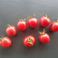Rosa dell Agro Ericimo DER TOMATENFLÜSTERER