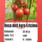 Rosa dell Agro Ericimo DER TOMATENFLÜSTERER