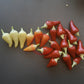 Rosemary Pepper DER TOMATENFLÜSTERER