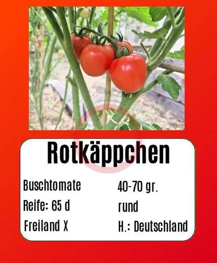 Rotkäppchen DER TOMATENFLÜSTERER