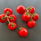 Rotkäppchen DER TOMATENFLÜSTERER