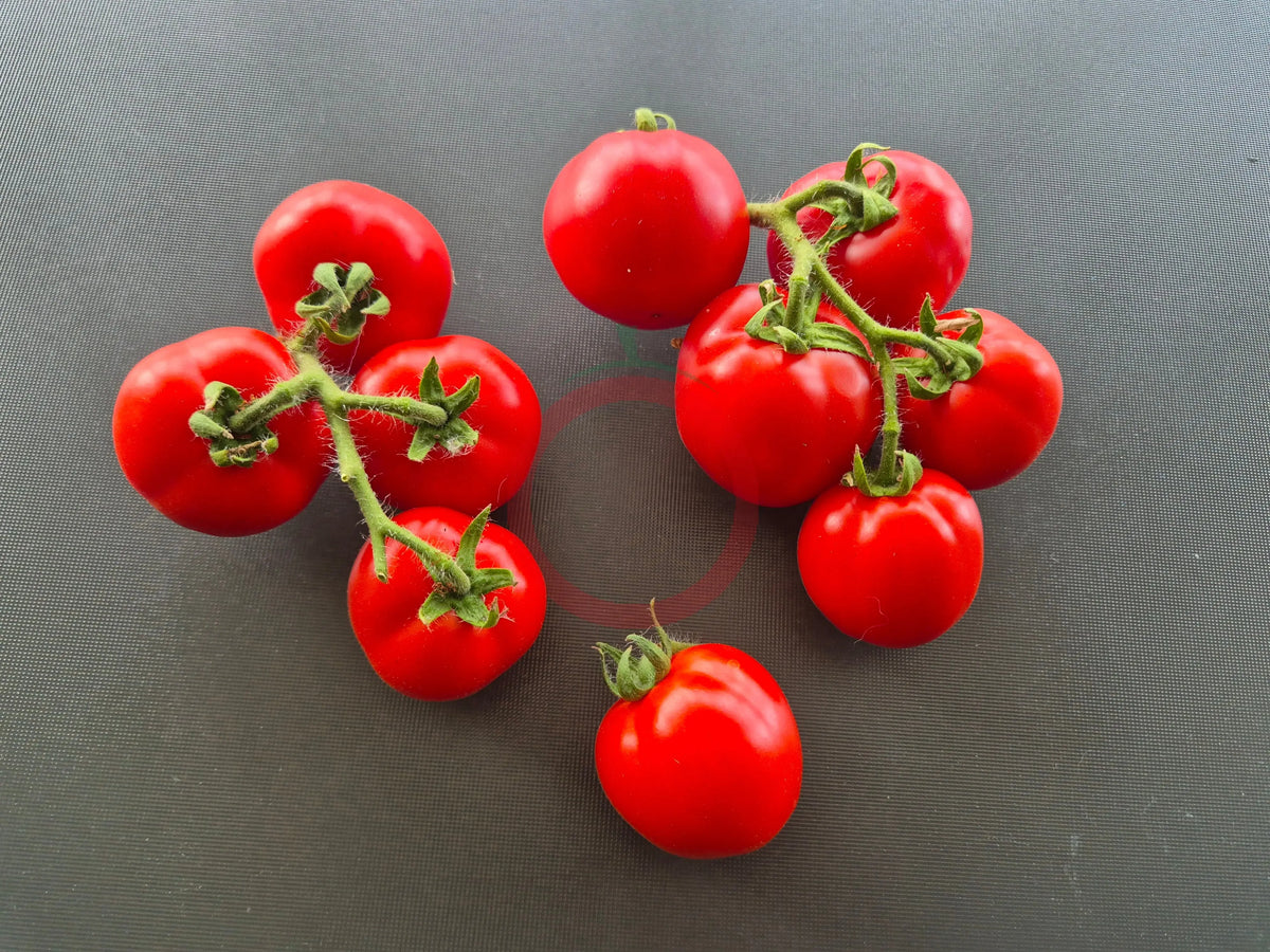 Rotkäppchen DER TOMATENFLÜSTERER
