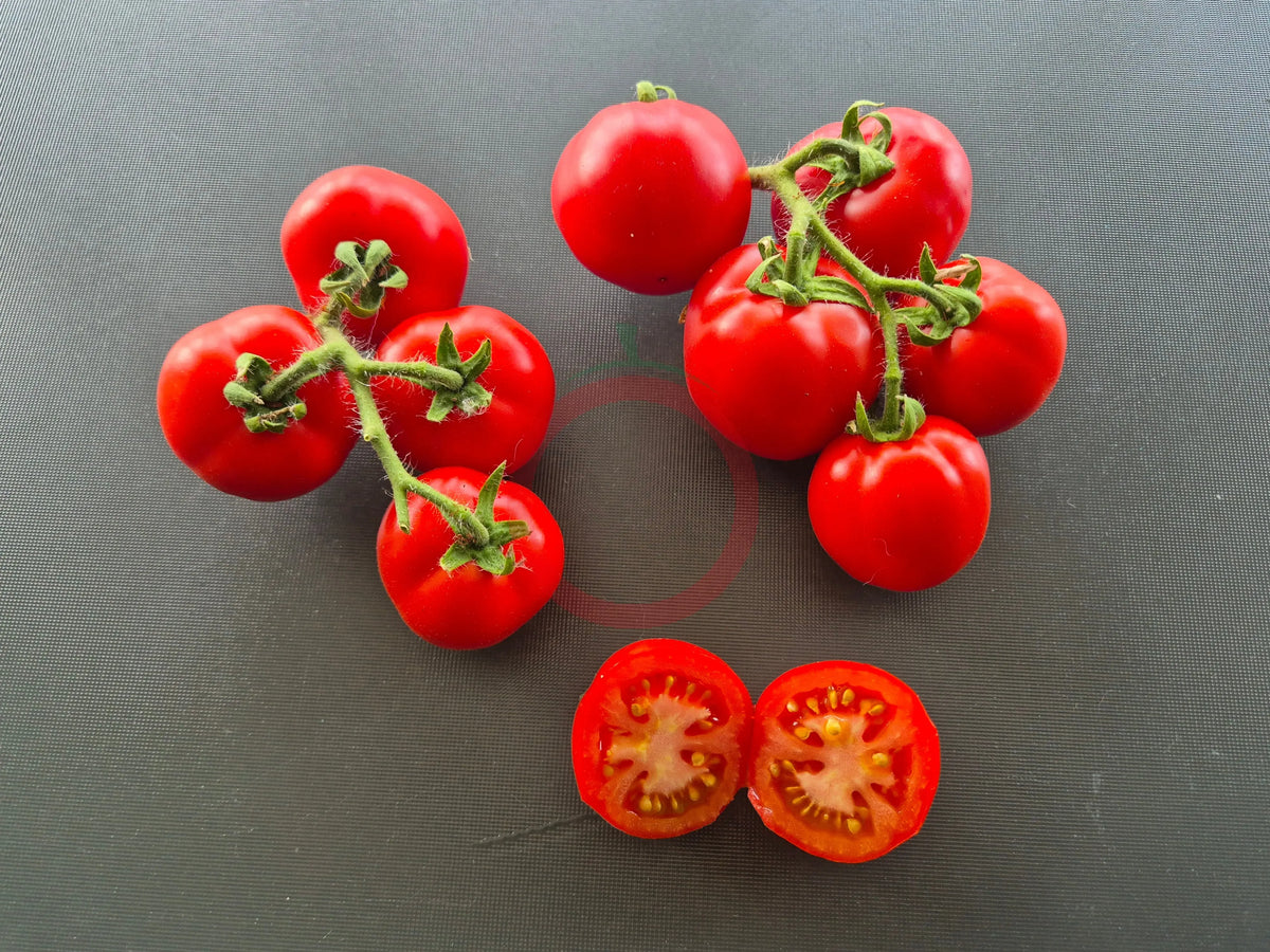 Rotkäppchen DER TOMATENFLÜSTERER