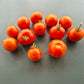 Roughwood Golden Tiger DER TOMATENFLÜSTERER