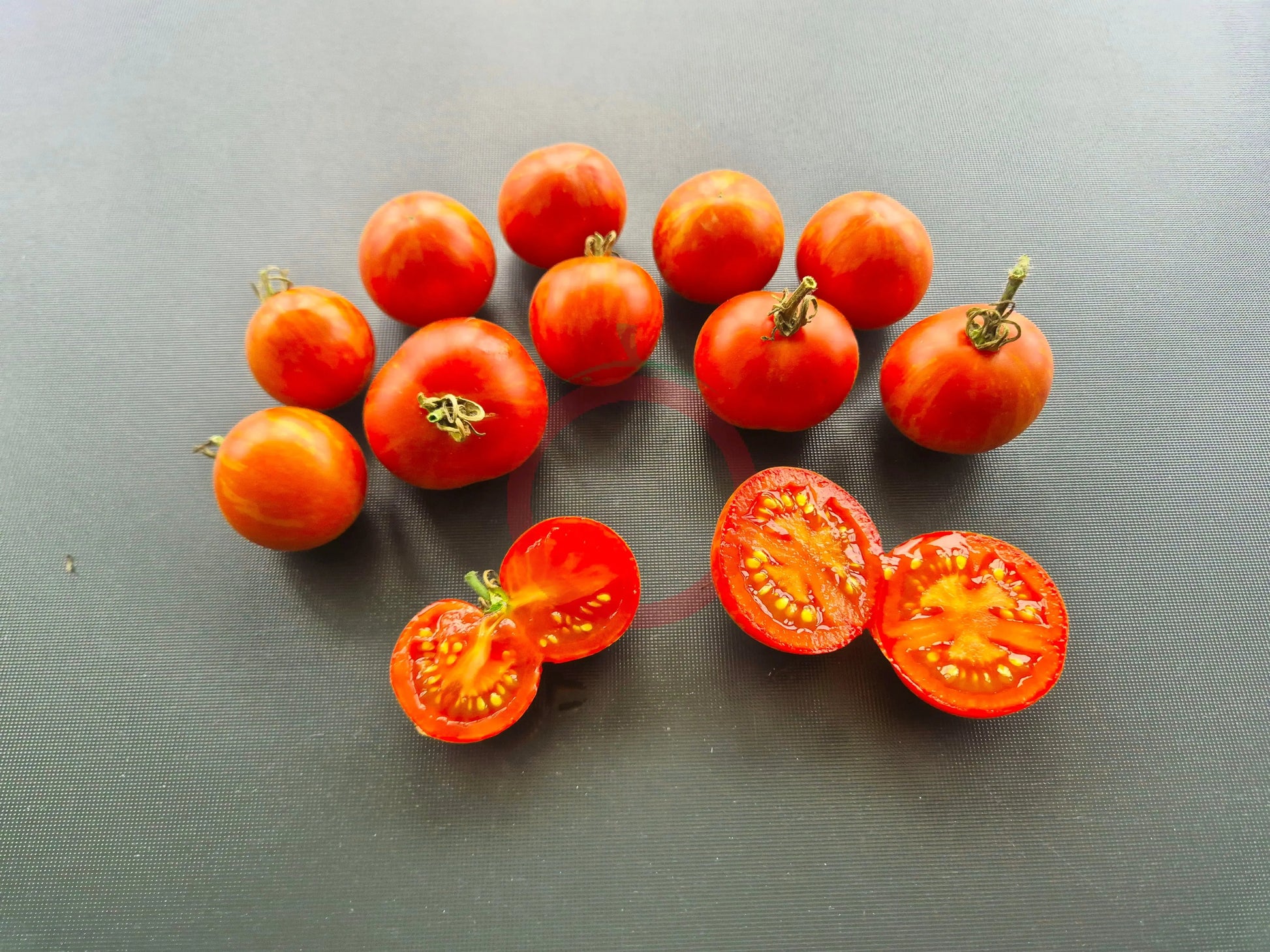 Roughwood Golden Tiger DER TOMATENFLÜSTERER