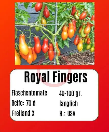 Royal Fingers DER TOMATENFLÜSTERER