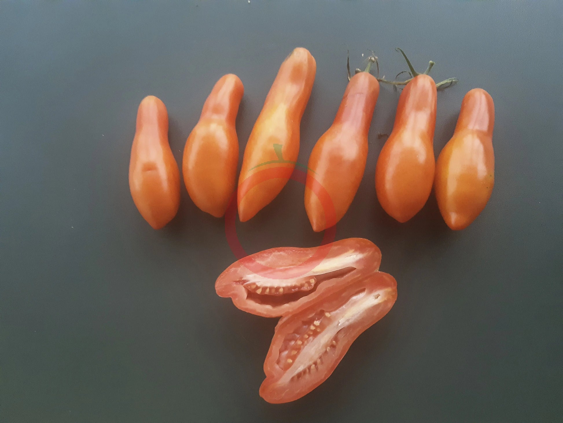 Royal Fingers DER TOMATENFLÜSTERER