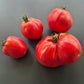 Rozovyy Grebeshok DER TOMATENFLÜSTERER