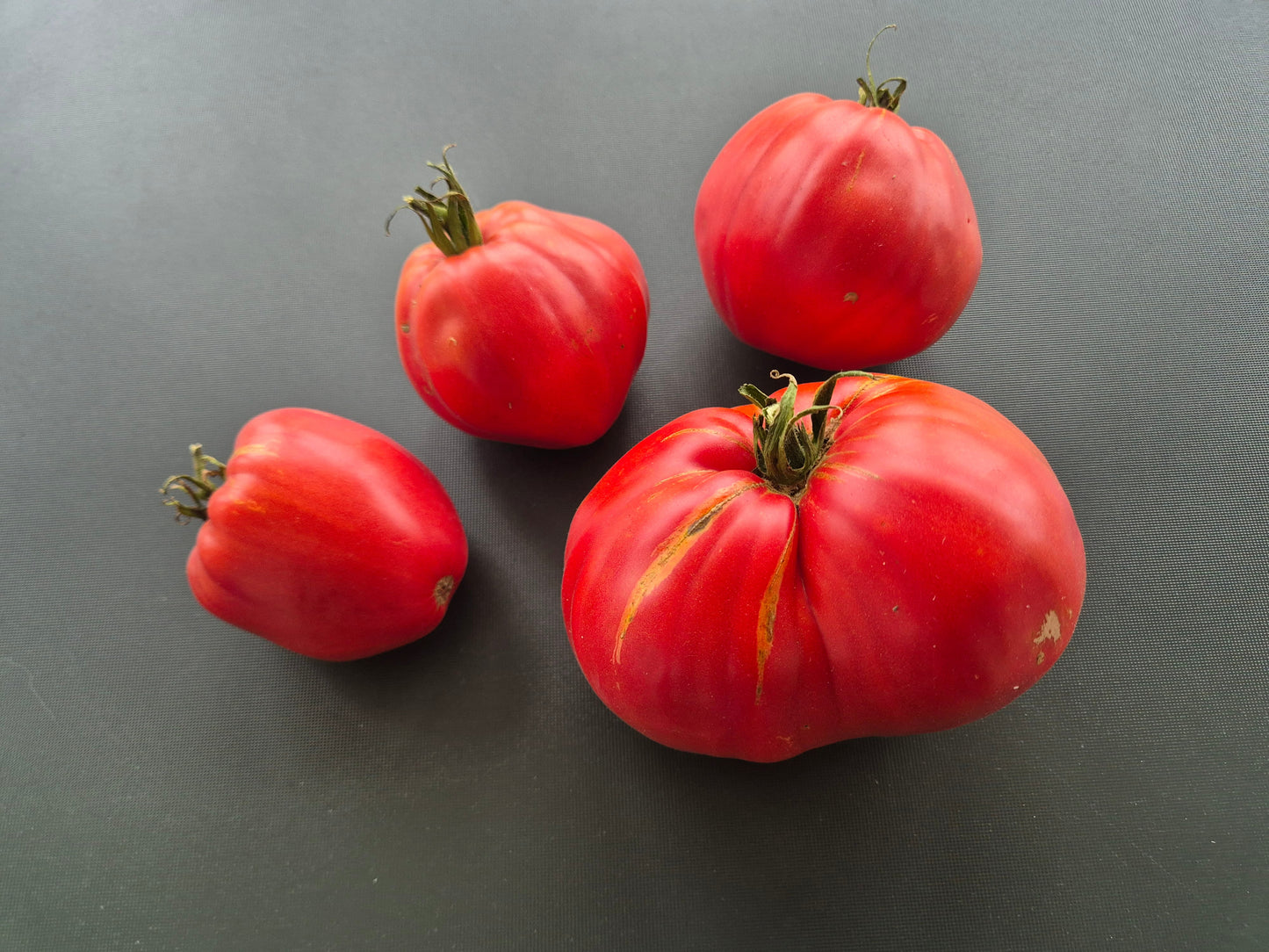 Rozovyy Grebeshok DER TOMATENFLÜSTERER