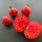 Rozovyy Grebeshok DER TOMATENFLÜSTERER
