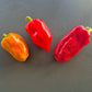 Russischer Spitzerl DER TOMATENFLÜSTERER