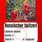 Russischer Spitzerl DER TOMATENFLÜSTERER