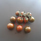 Safari DER TOMATENFLÜSTERER