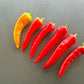 Sakharniy Rojok DER TOMATENFLÜSTERER