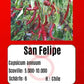 San Felipe DER TOMATENFLÜSTERER