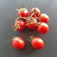 Santa Cruz DER TOMATENFLÜSTERER
