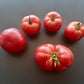 Saranda DER TOMATENFLÜSTERER