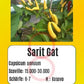 Sarit Gat DER TOMATENFLÜSTERER